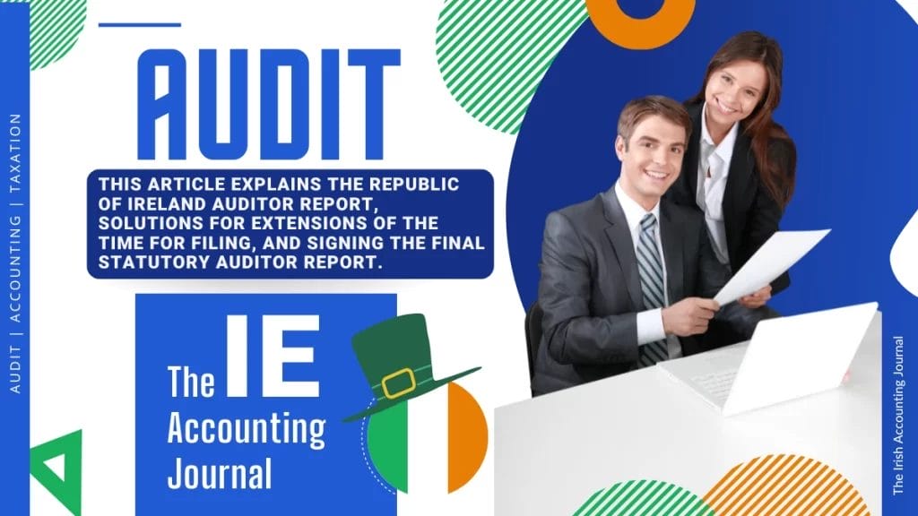 Company Audit in Ireland