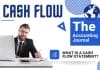 Cash Flow Statement: How to analyse the Cash Flow in your business, and understand the meaning of the information provided by the statement of Cash Flow. Cash Flow Statement