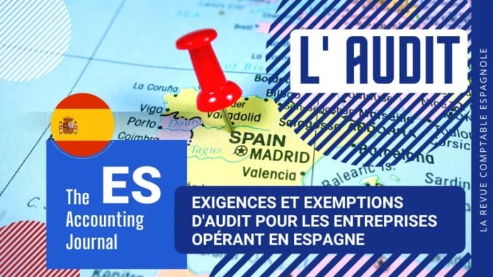 Exemptions d'audit en Espagne