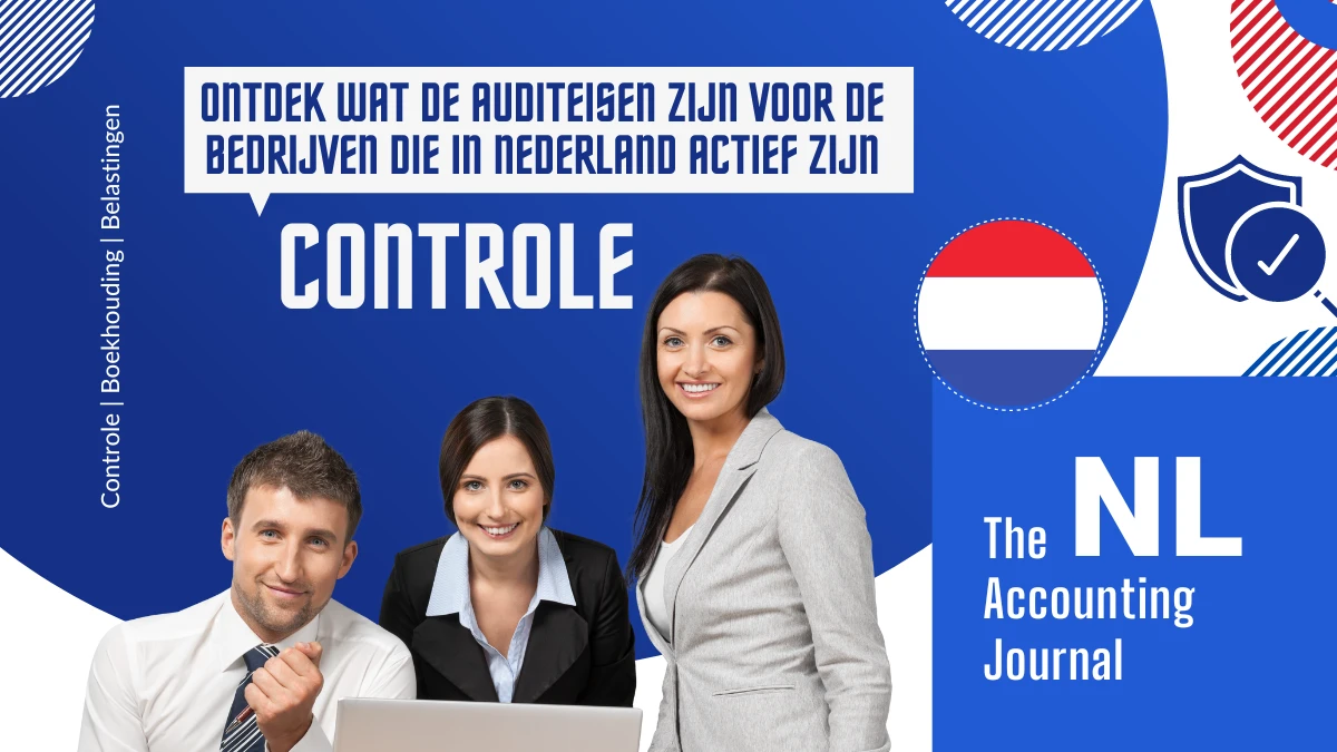 Auditeisen in Nederland