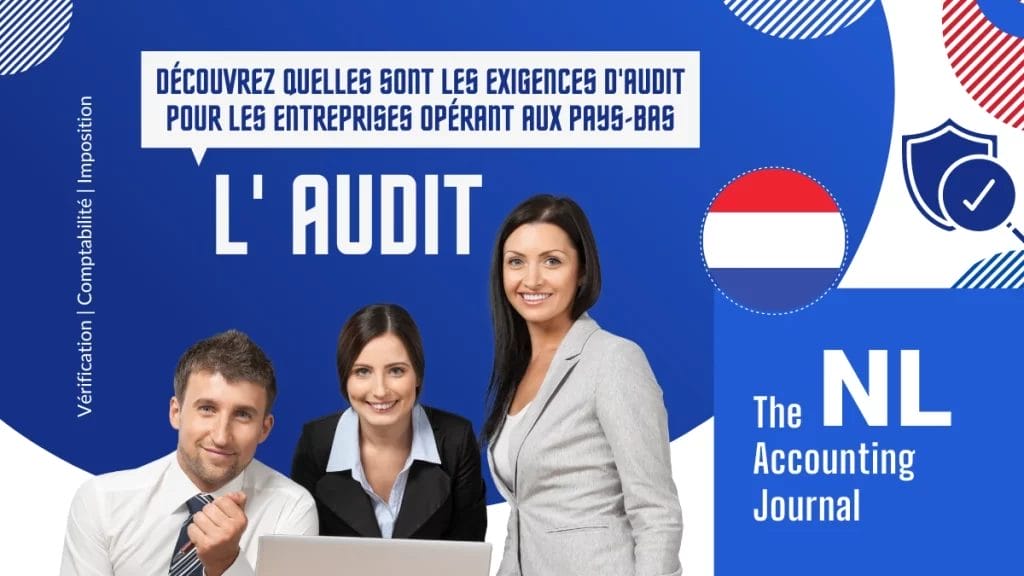 Exigences en matière d'audit aux Pays-Bas
