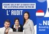 Exigences en matière d'audit aux Pays-Bas