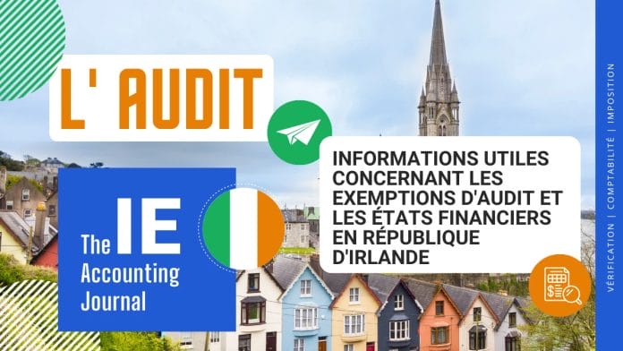 Exemptions d'audit en Irlande